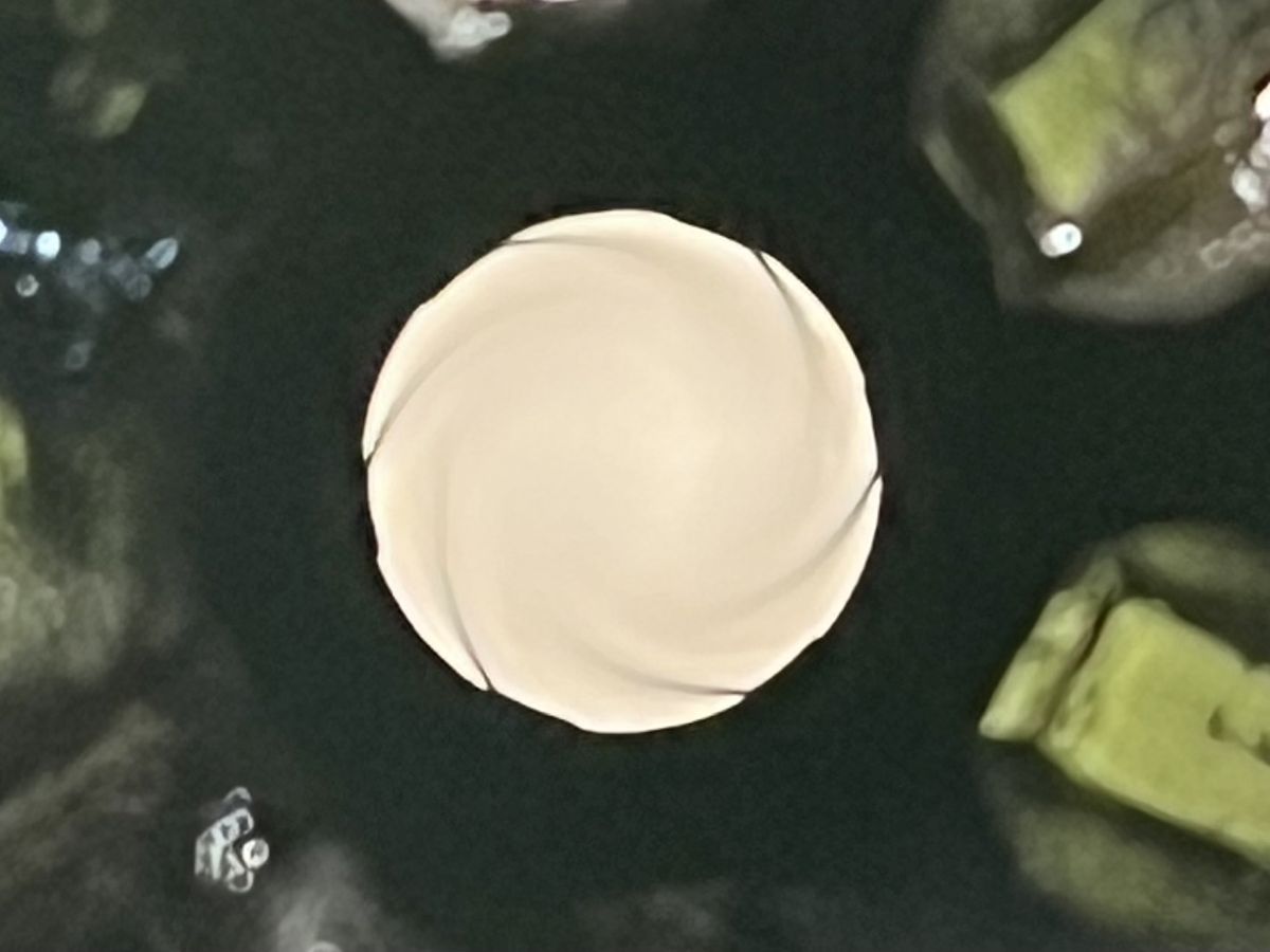 KARABIN SAMOPOWTARZALNY M16A1, kal. 5,56x45mm (.223 Rem)