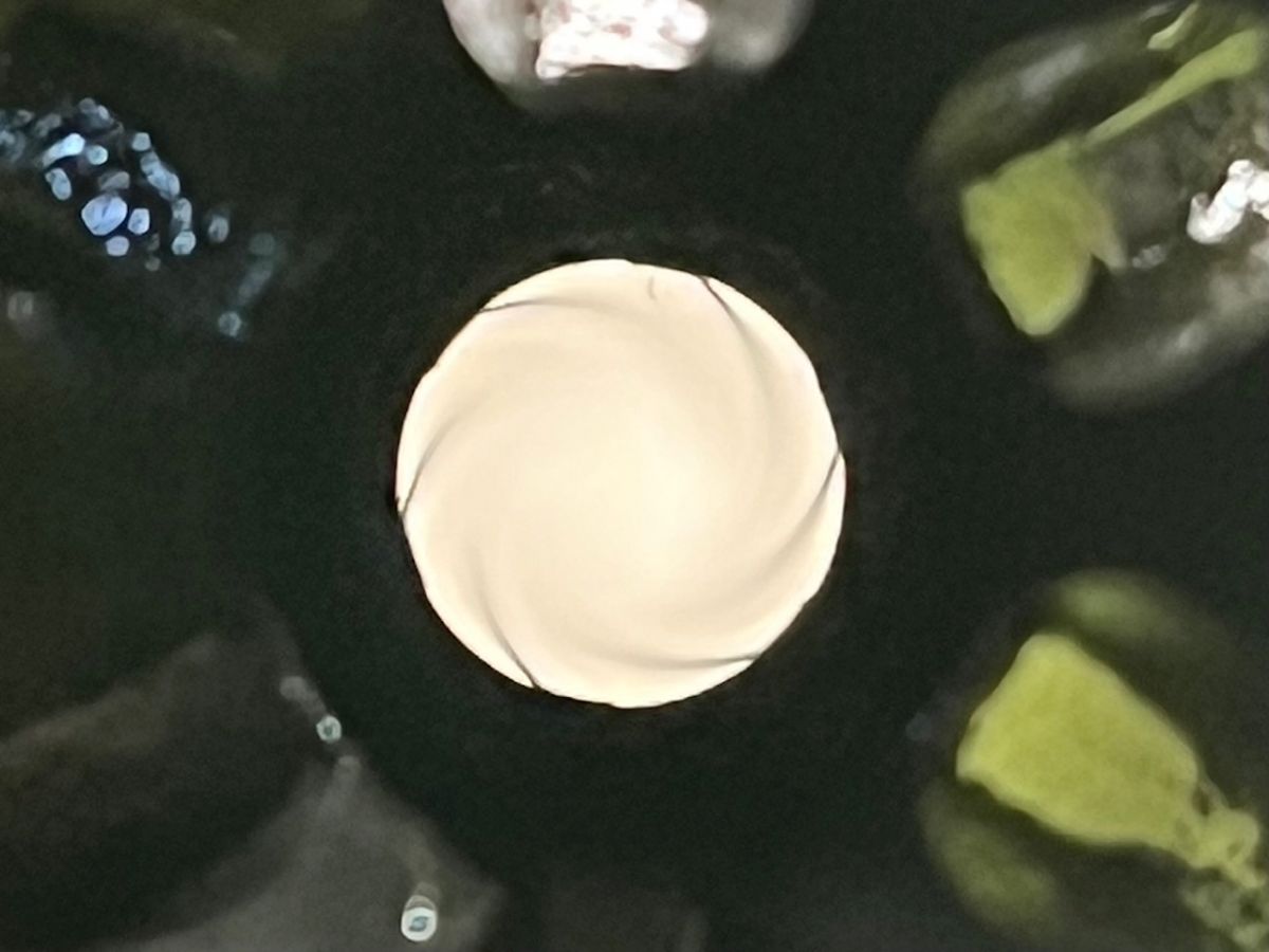 KARABIN SAMOPOWTARZALNY M16A1, kal. 5,56x45mm (.223 Rem)