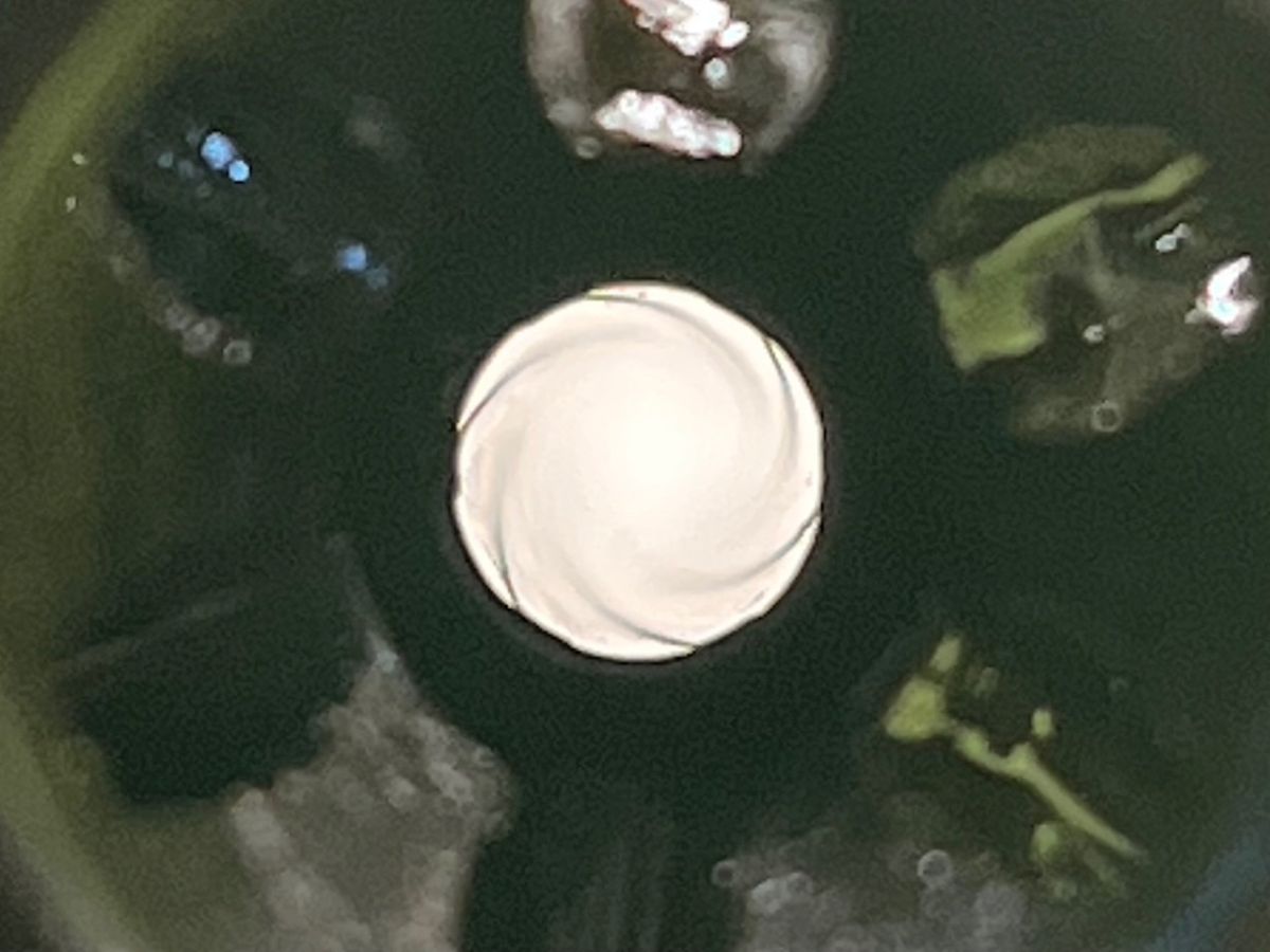 KARABIN SAMOPOWTARZALNY M16A1, kal. 5,56x45mm (.223 Rem)